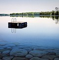 Welcome to the Lake