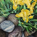 Where Garden Meets Rock